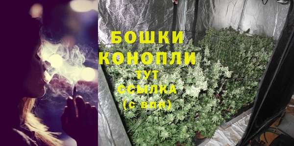 таблы Богданович