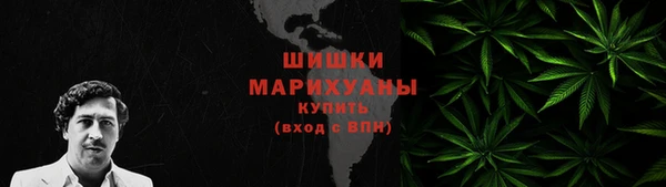 Альфа ПВП Бородино