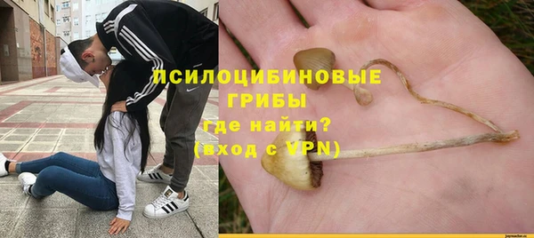 таблы Богданович