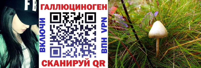 Галлюциногенные грибы ЛСД  Дагестанские Огни 